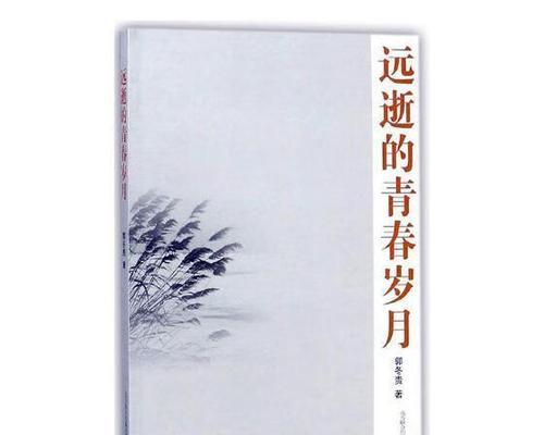 青春探路（一个年轻人的成长故事）