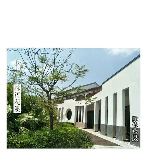 心灵的选择（一个人面临的艰难决定）