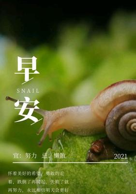 追梦路上的勇气（活出自己的精彩）