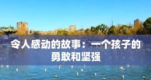 坚强的灵魂（从困境到坚强的成长）