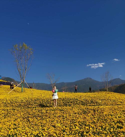 春天的瑰丽风景（一个春天的故事）