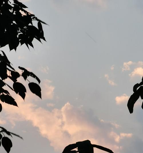 夏风清凉——一次夏日的奇遇