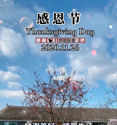 我要珍惜每一个生命（感恩生命，珍惜每一刻）
