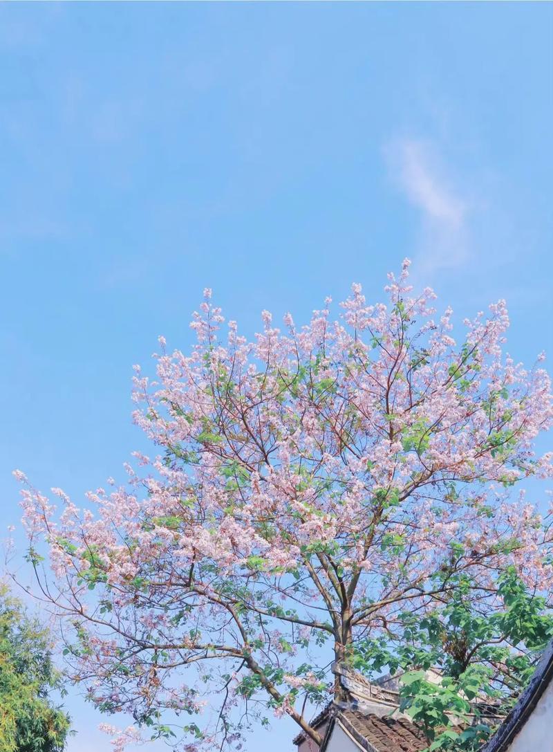 《一瞬间的决定》