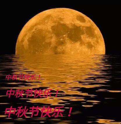我爱这轮月亮：一夜幽情