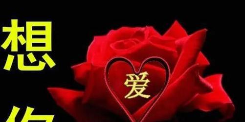 时间沉淀爱情，思念成为珍贵的财富（时间沉淀爱情，思念成为珍贵的财富）