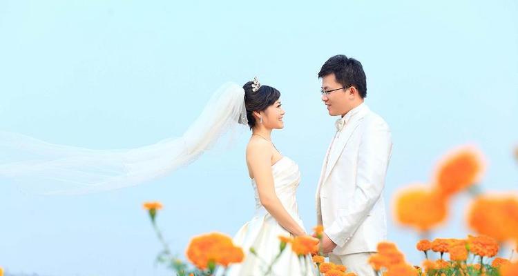 夏日里的温暖（感恩之情让我们相遇）