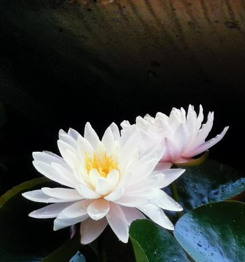 夏令营的记忆