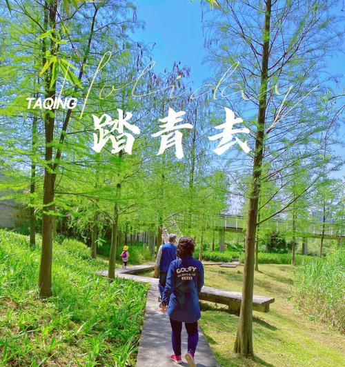 清明踏青之行——清明时节，走进自然（邂逅春天，迎接未来）
