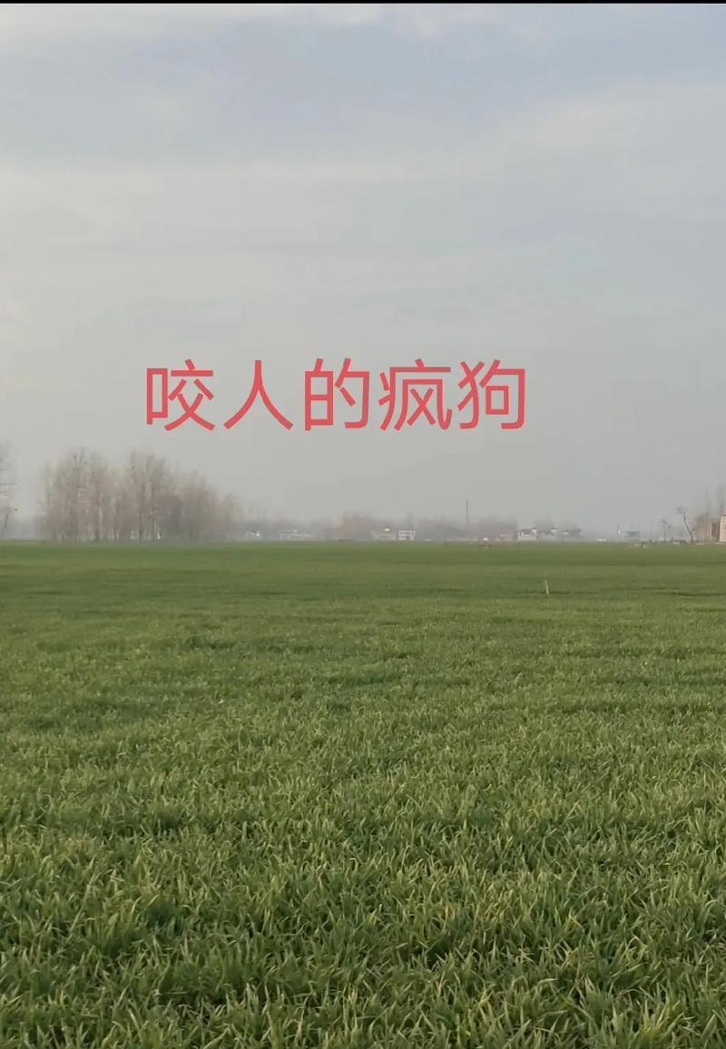 生活的美好