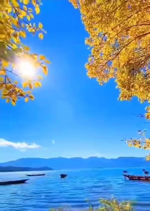 迎接春天（少女与春天的邂逅）