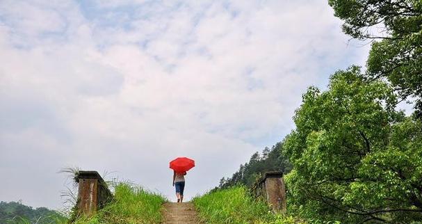 奋斗的道路——一个成功者的故事（奋斗不止，成功从未停歇）
