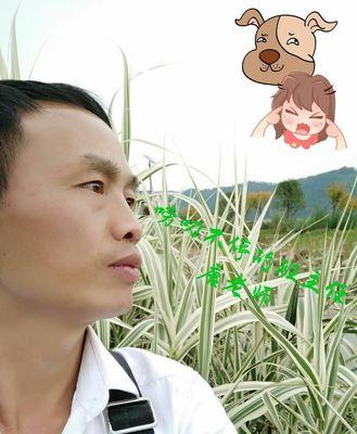 离别的伤感