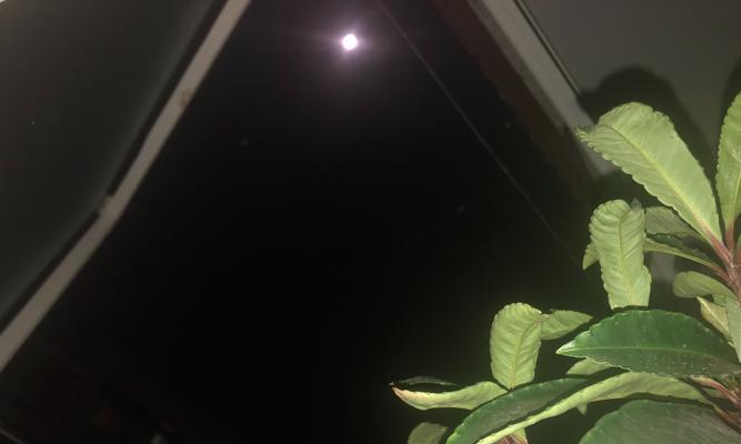 《甜美的影子》——一段青涩的初恋