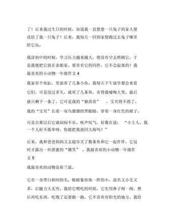 小小糯米鼠的故事（探寻城市里的小美好）