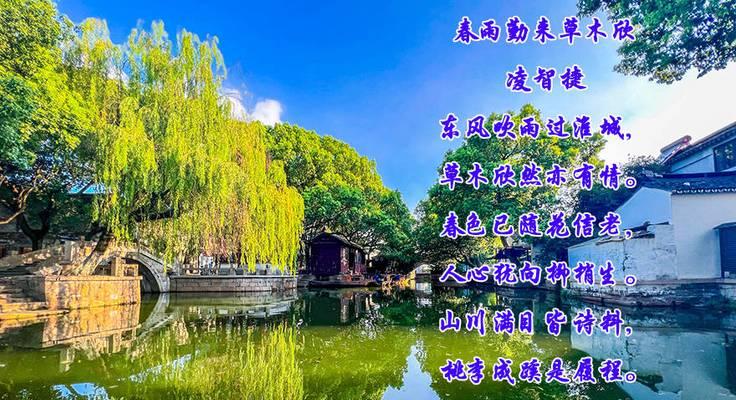 江南风情：花开如梦