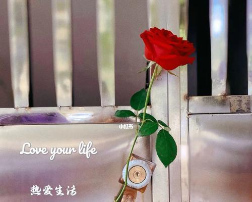 送人玫瑰，手留余香（一场奇妙的邂逅）