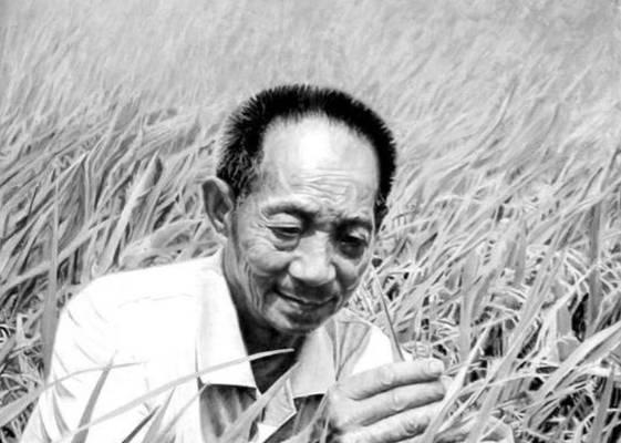 走好现实路，畅享青春梦（一个迷茫的大学生的成长故事）