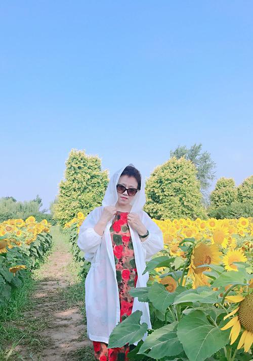 阳光下的快乐生活（乐观积极的生活态度）