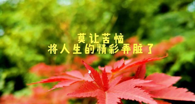 奋斗成长，追求收获（只有努力，才能拥有真正的精彩人生）