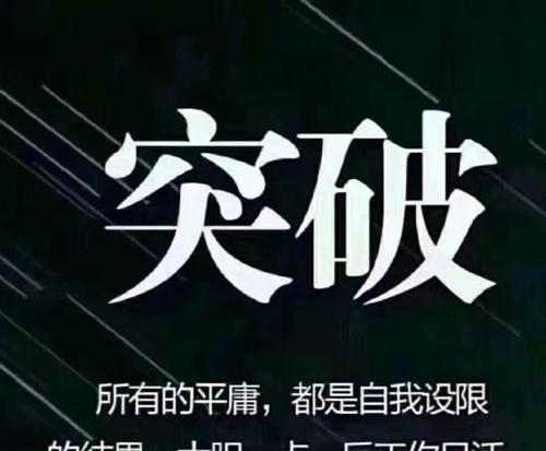 寻找自由的小鸟（寻找自由的小鸟）