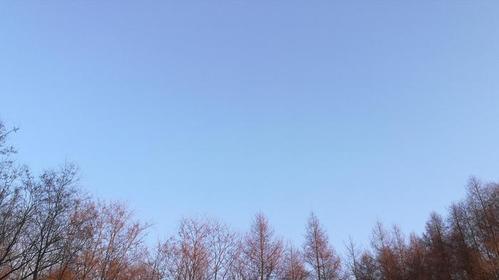 当爱和信任被挑战时，我们会做出什么选择？（当爱和信任被挑战时，我们会做出什么选择？）