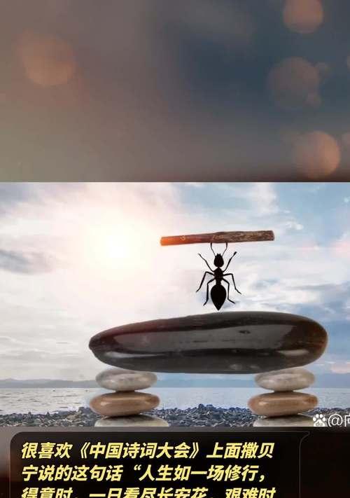 人生如诗，老师为诗。（一位老师的教育艺术）