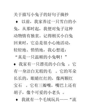 小白兔奇妙冒险记（探索世界的勇气和智慧）