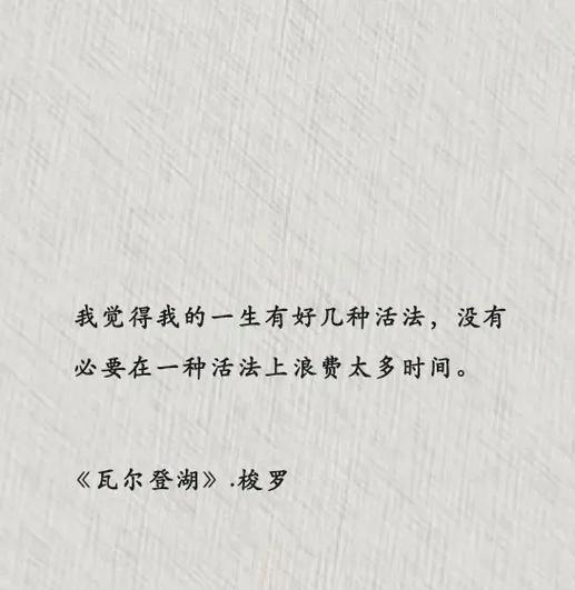 奋斗不止，勇往直前（不放弃梦想的故事）