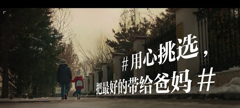 一滴水一片田——感恩从小事做起（以感恩之心感受温暖生活）