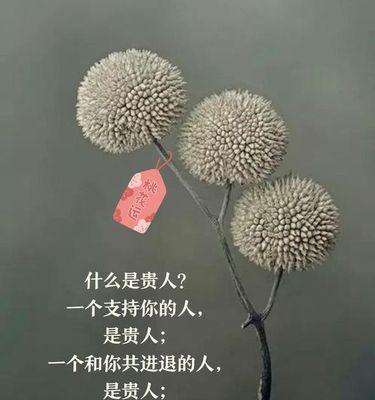 从自卑到热情，一个人的成长历程（从自卑到热情，一个人的成长历程）