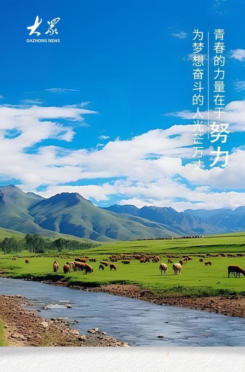 青春的光芒（一个少年的奋斗成长之路）