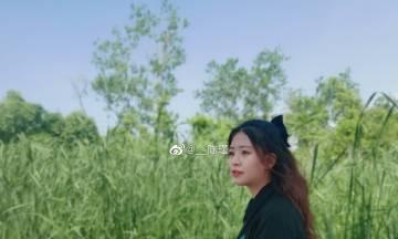 一段充满意外与艰辛的旅程（一段充满意外与艰辛的旅程）