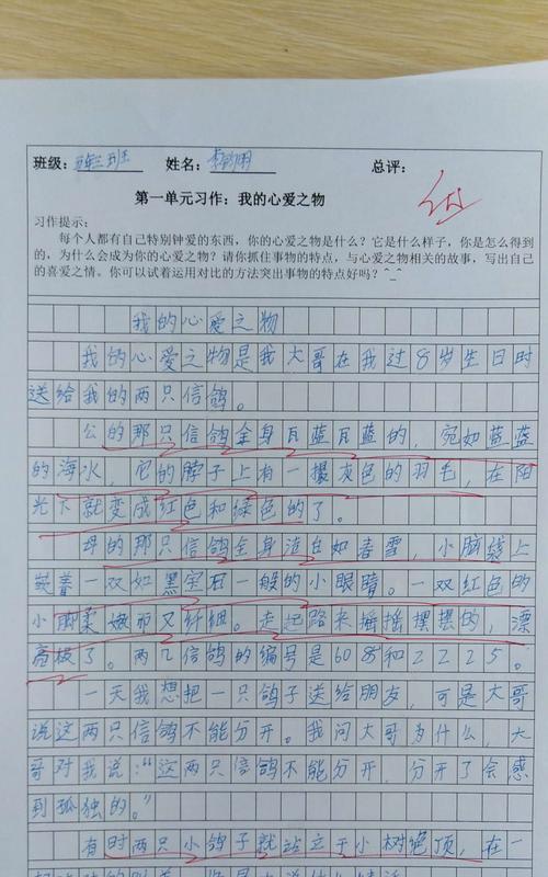 我的心爱之物——一只猫咪（柔软的小生命）