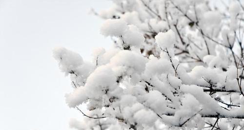 大雪封山路（一个陌生人的冒险之旅）