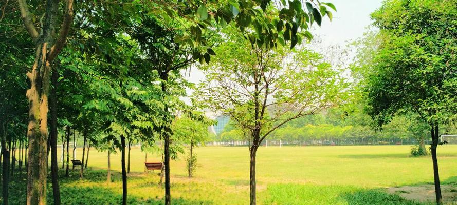 那个充满生机的校园（青春如花，璀璨校园）