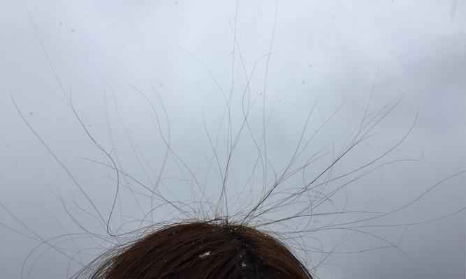 爱的教训——她的成长之路（爱让她成长，却也让她受伤）
