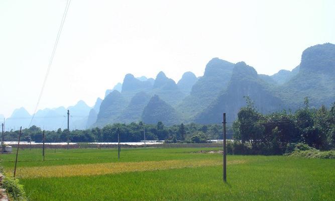 青春路上，一路前行（梦想的种子，努力的果实）
