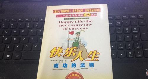 成功带来的喜悦（一个寻找自己的年轻人的奋斗之路）