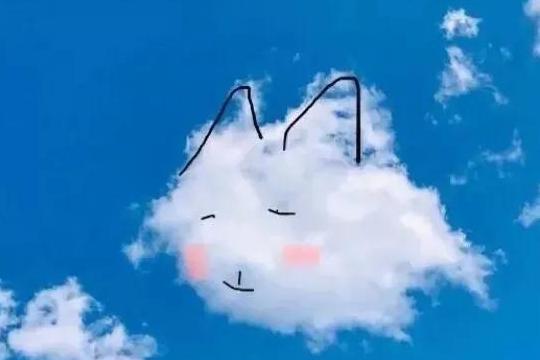 甜美影子（他生命中最重要的角色）
