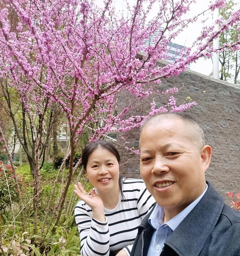 寻找真正的幸福（幸福在身边，不要错过）
