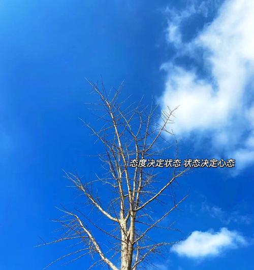 乐观是一种态度，也是一种信仰（从梦想到现实，我始终坚信着）