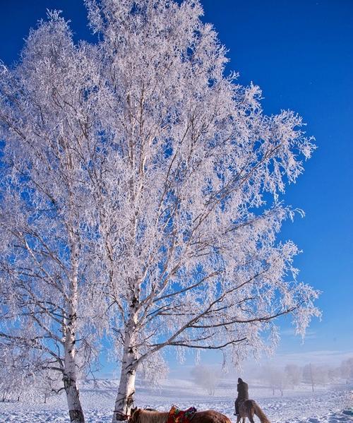 冬天的温度（在雪中慢步迈进温馨的世界）