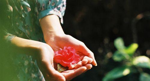 留香（一位老师的风采）