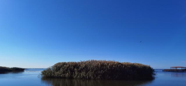 美丽海岛的故事（探险与友情）