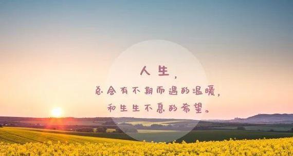 生活的意义（感悟生活，探寻意义）