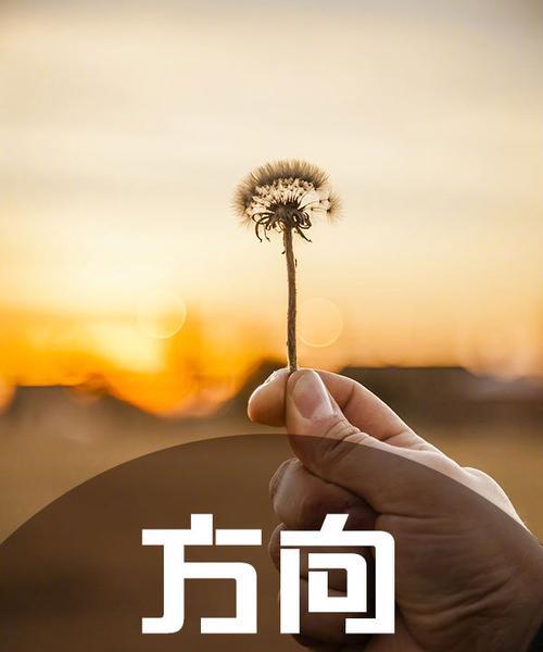 征服内心的勇气（走出舒适区，战胜自我）