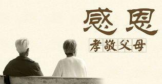 浪子回头（一次匆忙的归家）