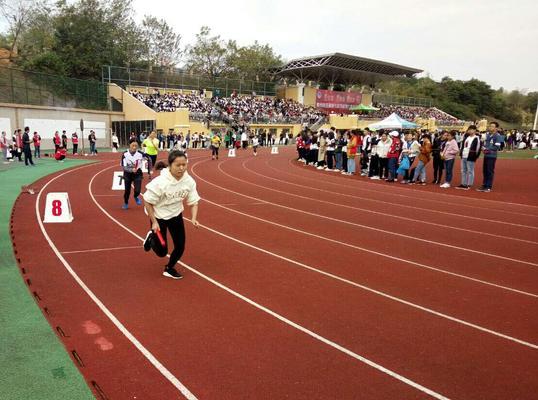 砥砺拼搏勇攀高峰（从校运会到人生赛场）