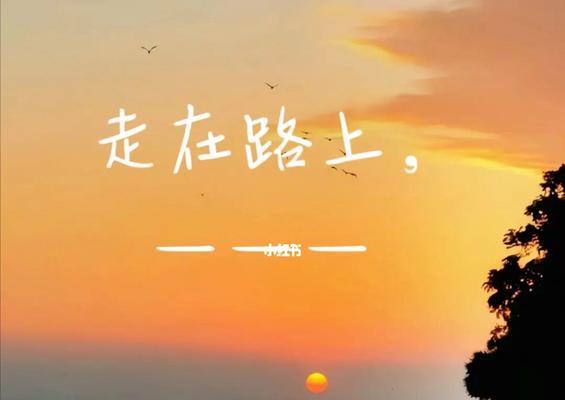 路上有你（一段关于行走、成长与回归的故事）